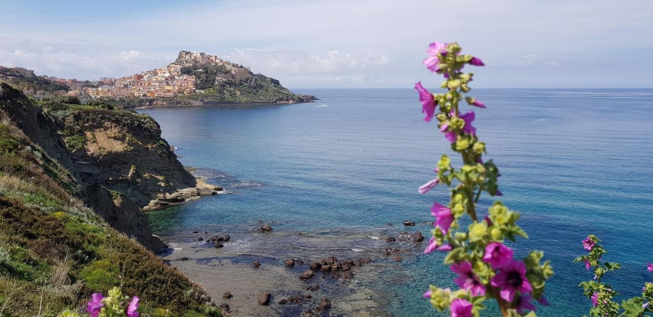 “Cielo E Mare”, Casetta Nel Cuore Del Borgo Antico / “Sky & Sea”, Charming In The Heart Of Old Village กัสเตลซาร์โด ภายนอก รูปภาพ
