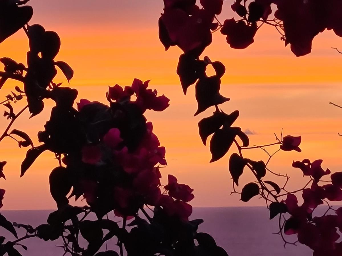 “Cielo E Mare”, Casetta Nel Cuore Del Borgo Antico / “Sky & Sea”, Charming In The Heart Of Old Village กัสเตลซาร์โด ภายนอก รูปภาพ
