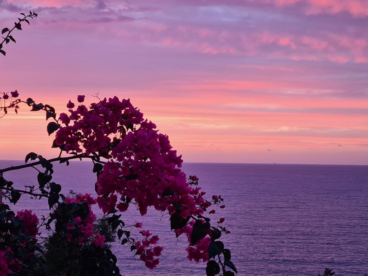 “Cielo E Mare”, Casetta Nel Cuore Del Borgo Antico / “Sky & Sea”, Charming In The Heart Of Old Village กัสเตลซาร์โด ภายนอก รูปภาพ