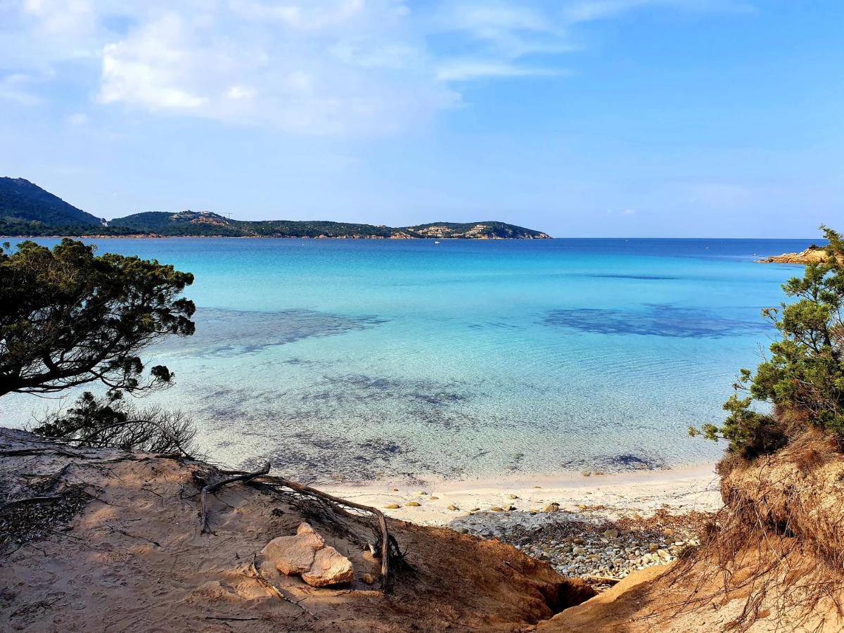 “Cielo E Mare”, Casetta Nel Cuore Del Borgo Antico / “Sky & Sea”, Charming In The Heart Of Old Village กัสเตลซาร์โด ภายนอก รูปภาพ
